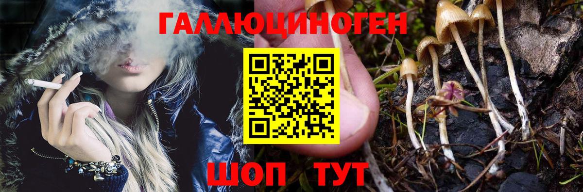 где можно купить наркотик  Вход с VPN  Югорск  Псилоцибиновые грибы прущие грибы 